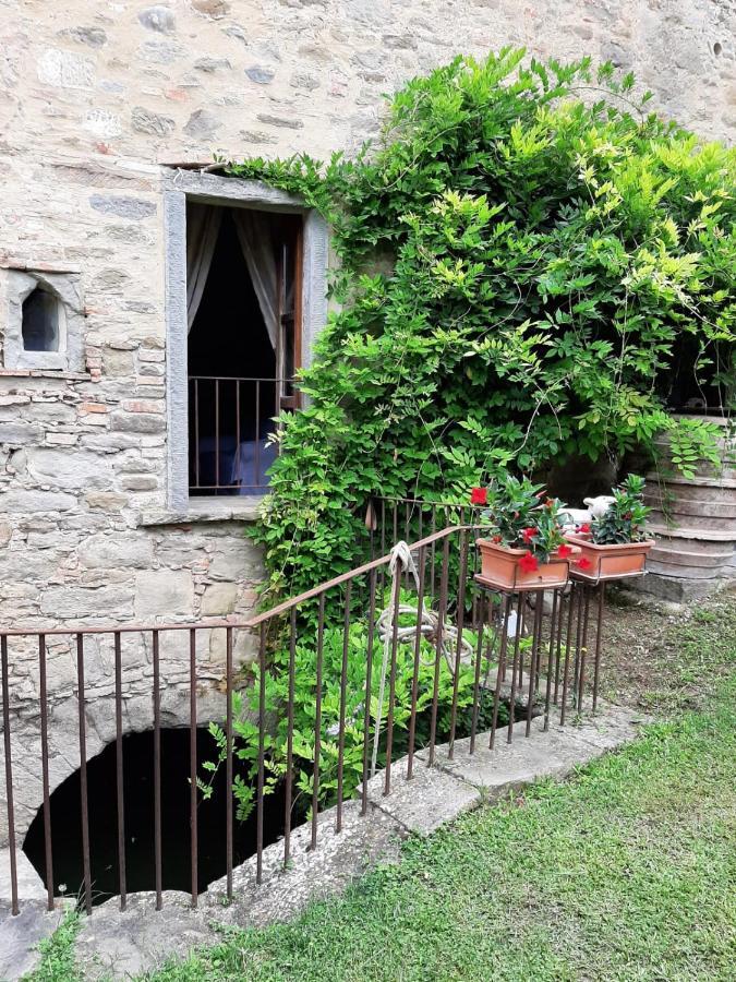 Agriturismo Frantoio Valiani Cortona Exterior photo