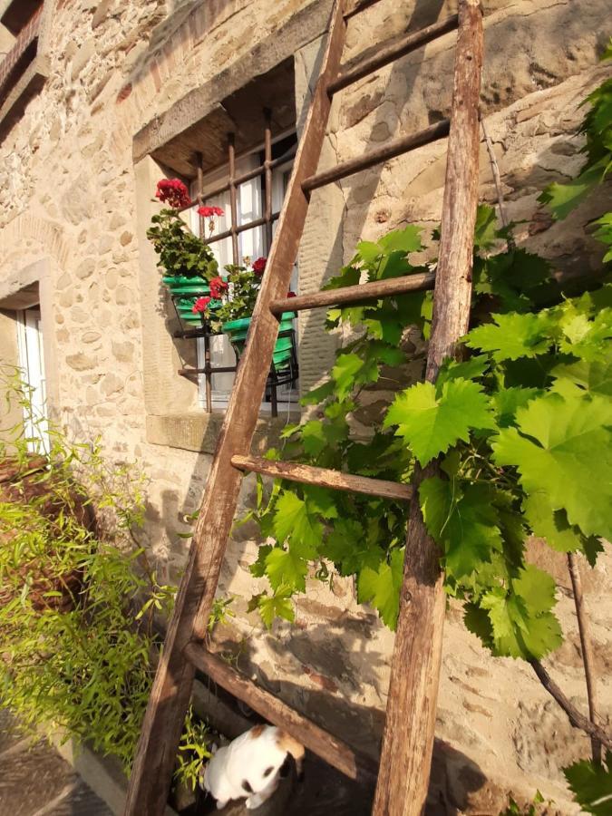 Agriturismo Frantoio Valiani Cortona Exterior photo