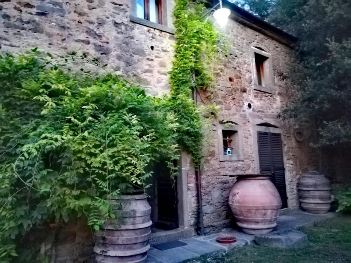 Agriturismo Frantoio Valiani Cortona Exterior photo