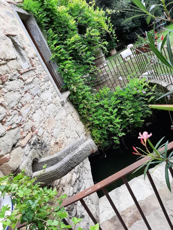 Agriturismo Frantoio Valiani Cortona Exterior photo